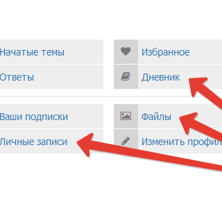 Ссылки в профиле